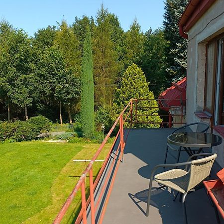 Apartman Za Lesem Červený Kostelec Esterno foto