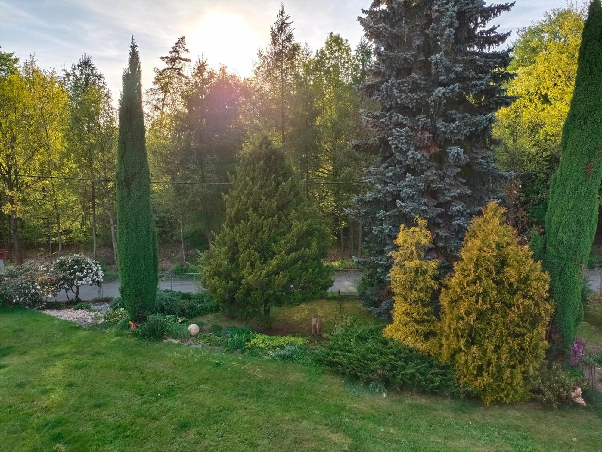 Apartman Za Lesem Červený Kostelec Esterno foto